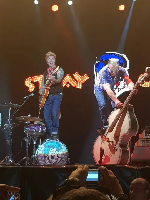 Stray Cats